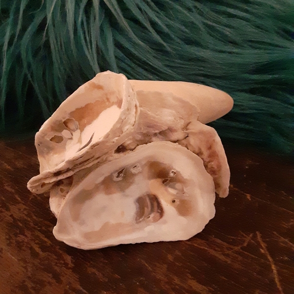 Shell Painting of a Field of Bluebonnets on an Oyster Shell Stand! - Picture 4 of 7